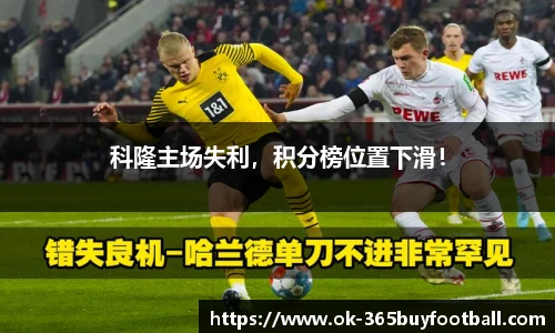 365买球网站