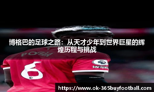 365买球网站